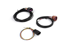 Load image into Gallery viewer, User 1