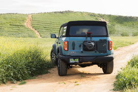 DV8 Offroad 2021-2025 Ford Bronco Tailgate Reinforcement Molle Panel